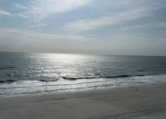 Apartment Gulf Tower Unit 8b